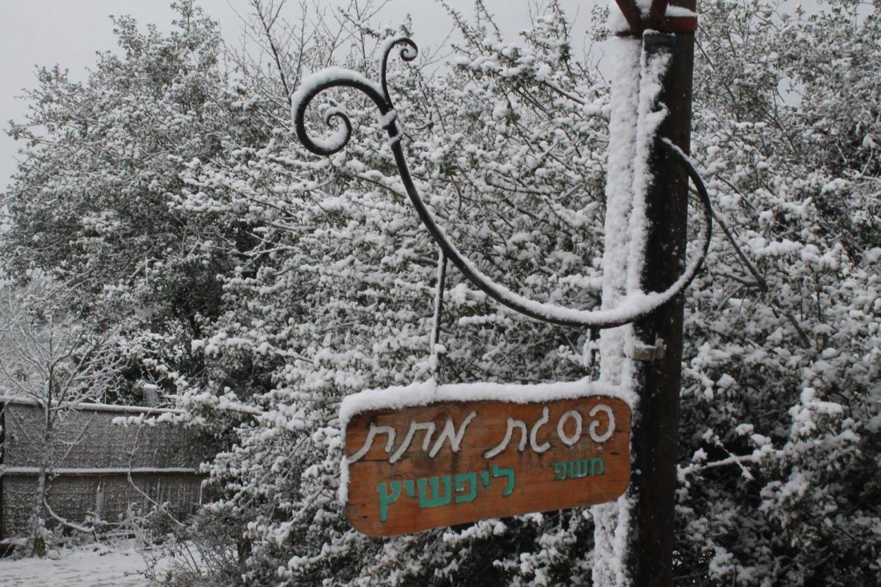 Вилла פסגת מתת Pisgat Mattat Экстерьер фото